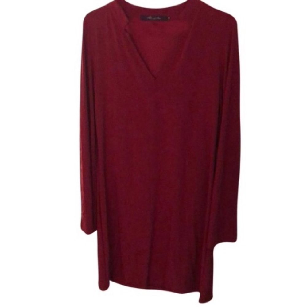 Red Anna &ava dress size 8